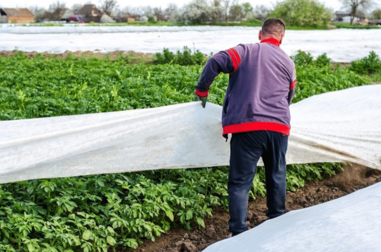 Uso de mantas industriales en el sector agrícola